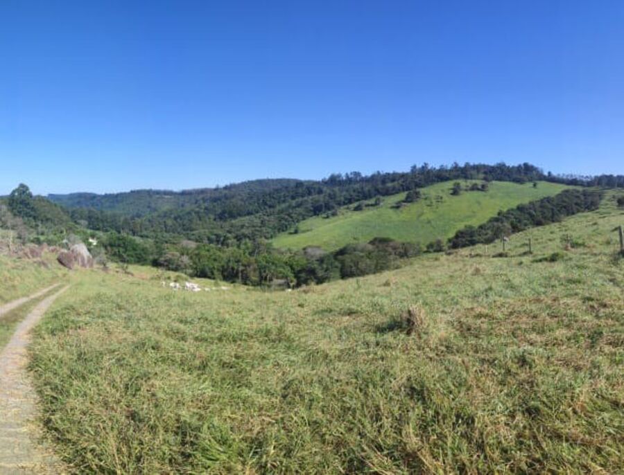 Colina aberta da fazenda, com o vale ao fundo